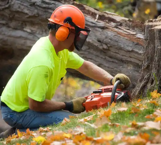 tree services Cottage Grove